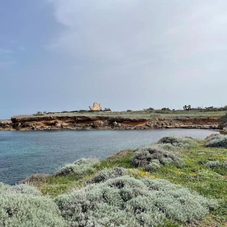 Trullo KAVA - Ceglie Messapica - Villa con 2 Camere da Letto - 34