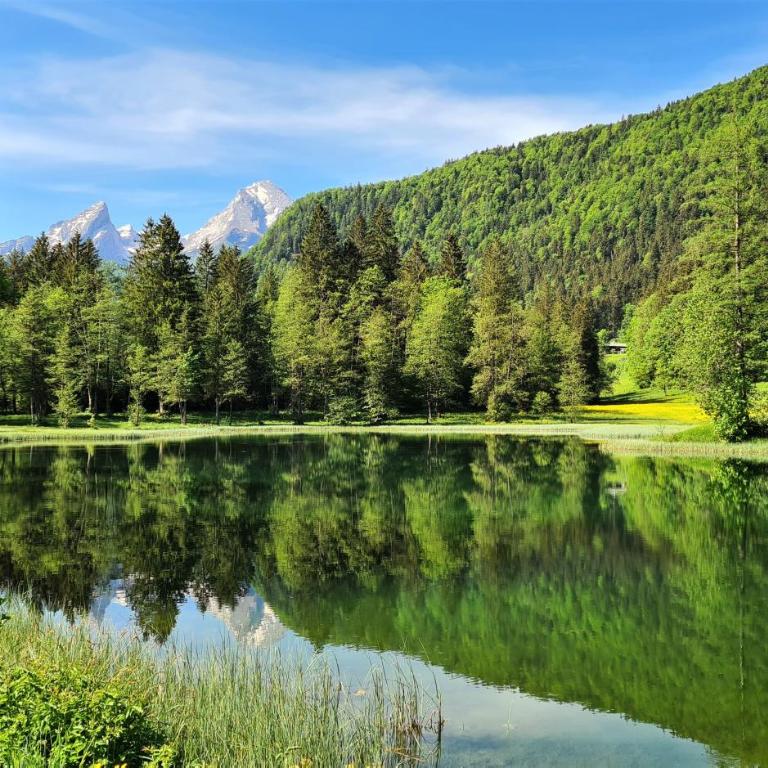 Design Ferienwohnung Königssee - Apartamento con vistas a las montañas - 26