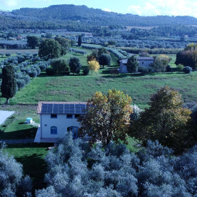 La Traversa Di Bolsena - Villa Superior - 34