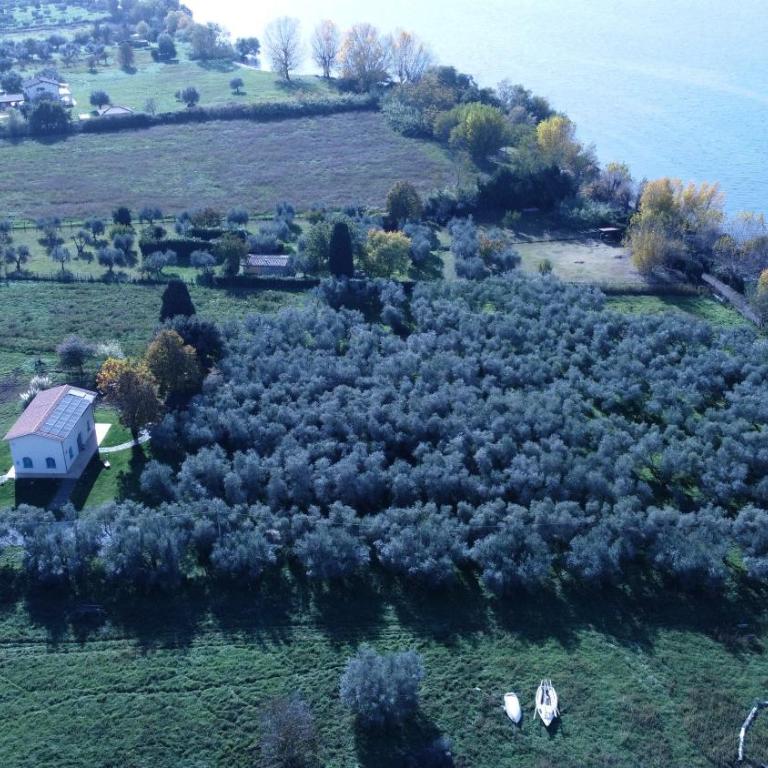 La Traversa Di Bolsena - Villa Superior - 32