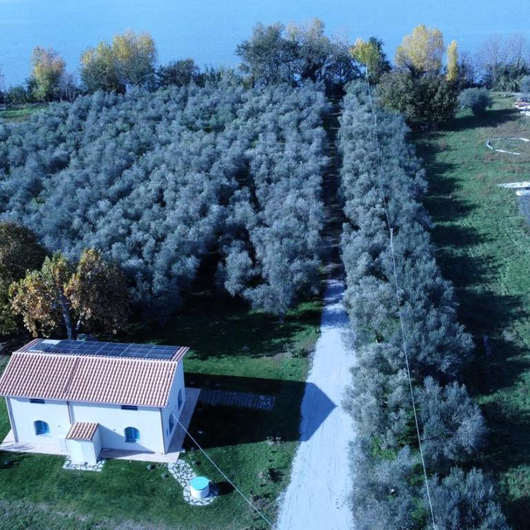 La Traversa Di Bolsena - Villa Superior - 31