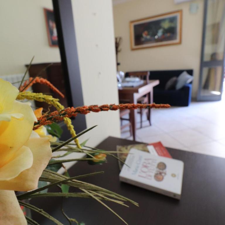 Casa Vacanze Palma Comfort, Space and Authentic Charm in the Heart of Otranto - Appartamento - 8