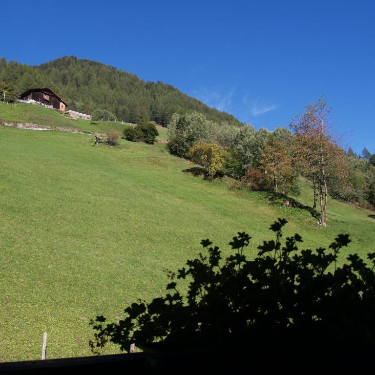 Alm-Apartments - Apartment mit 3 Schlafzimmern und Balkon - 17