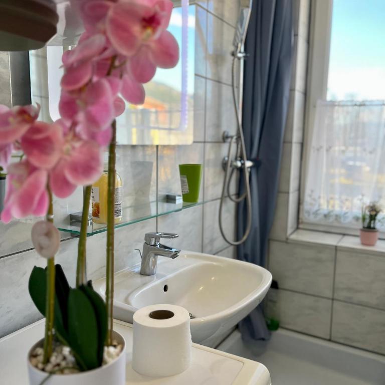 Gemütliche Wohnung/ cozy apartment Niklasdorf - Apartment mit 1 Schlafzimmer - 13