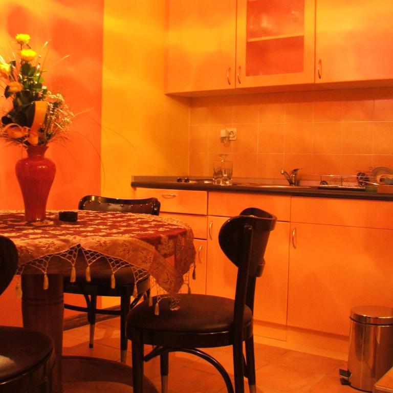 Vila Lira - Apartman sa 1 Spavaćom Sobom - 3
