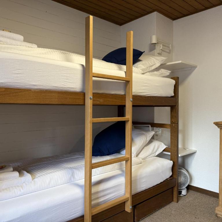 Chalet Schweizerhof 4 - Familienapartment mit 2 Schlafzimmern und Aussicht - 17