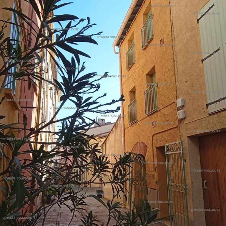 4SOL25 - Collioure charmante maison de village 150 m de la plage - Maison 1 Chambre - 1