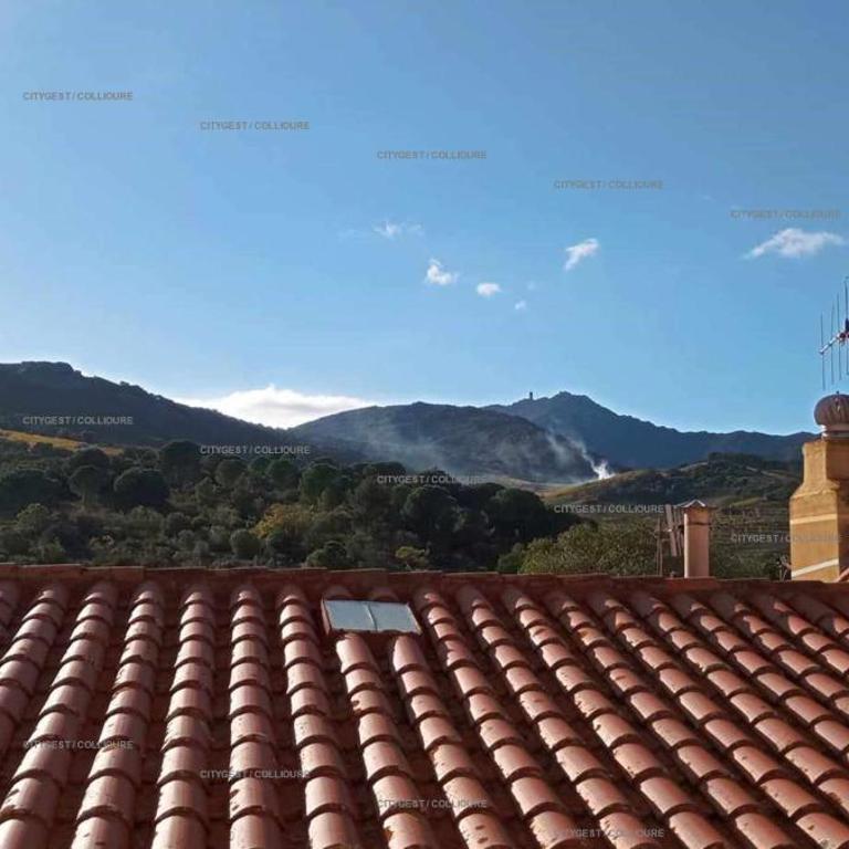 4SOL25 - Collioure charmante maison de village 150 m de la plage - Maison 1 Chambre - 19
