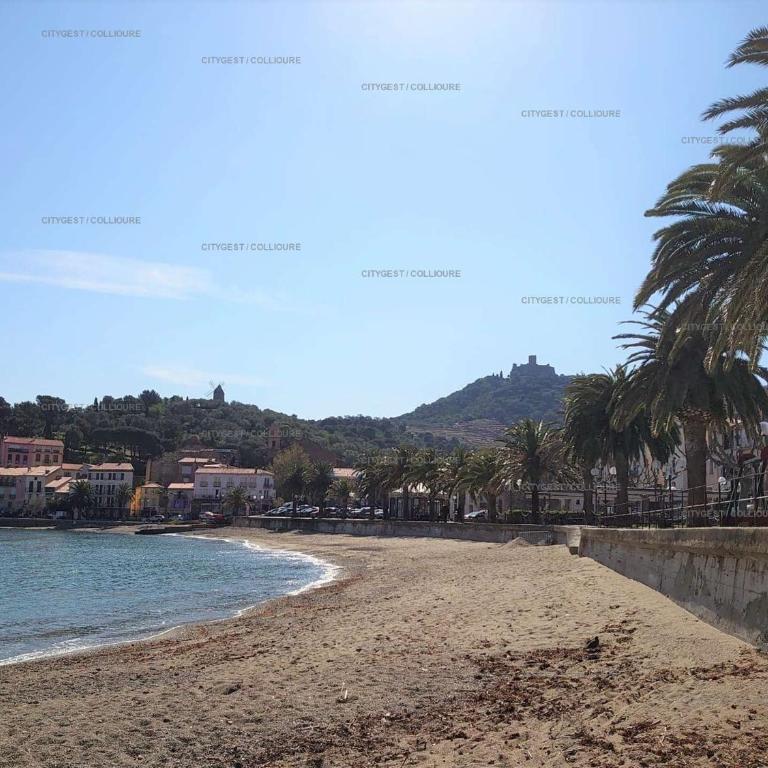 4SOL25 - Collioure charmante maison de village 150 m de la plage - Maison 1 Chambre - 23