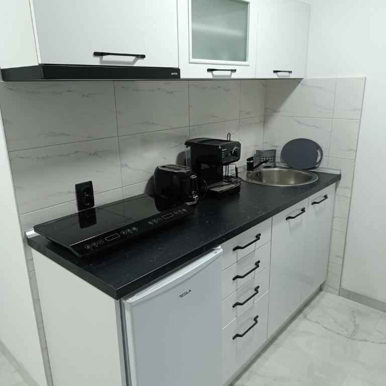 Garfield Family Apartman 2 - Superior Apartman sa 1 Spavaćom Sobom - 11
