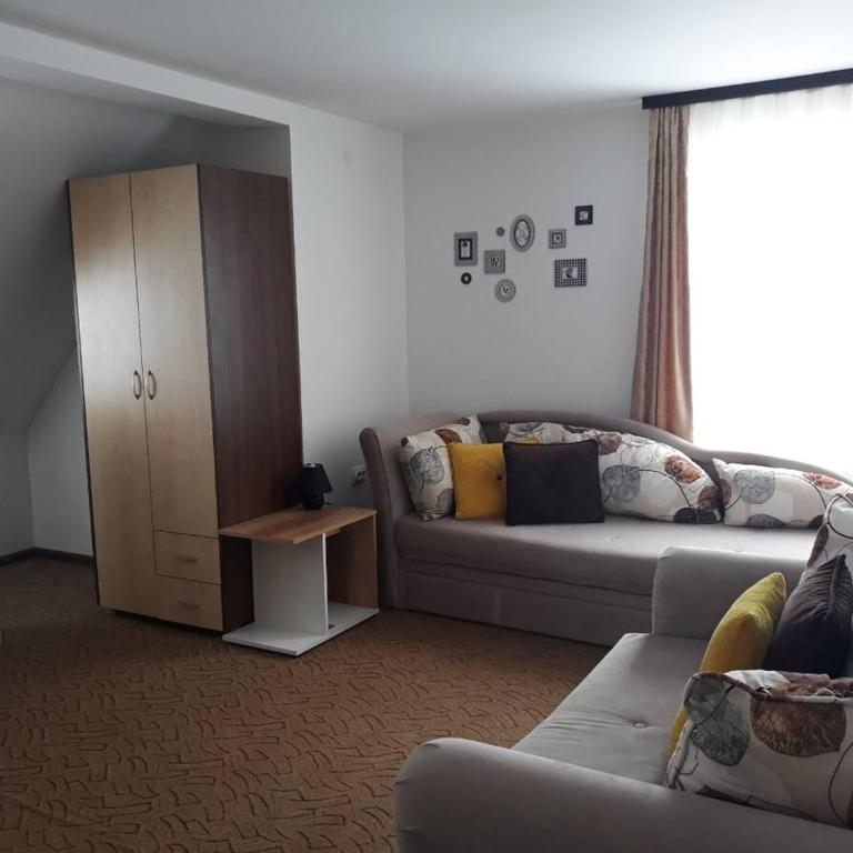 Dobricin Konak Kopaonik - Apartman sa 1 Spavaćom Sobom - 9
