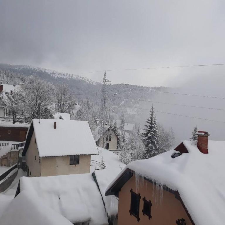 Dobricin Konak Kopaonik - Apartman sa 1 Spavaćom Sobom - 10