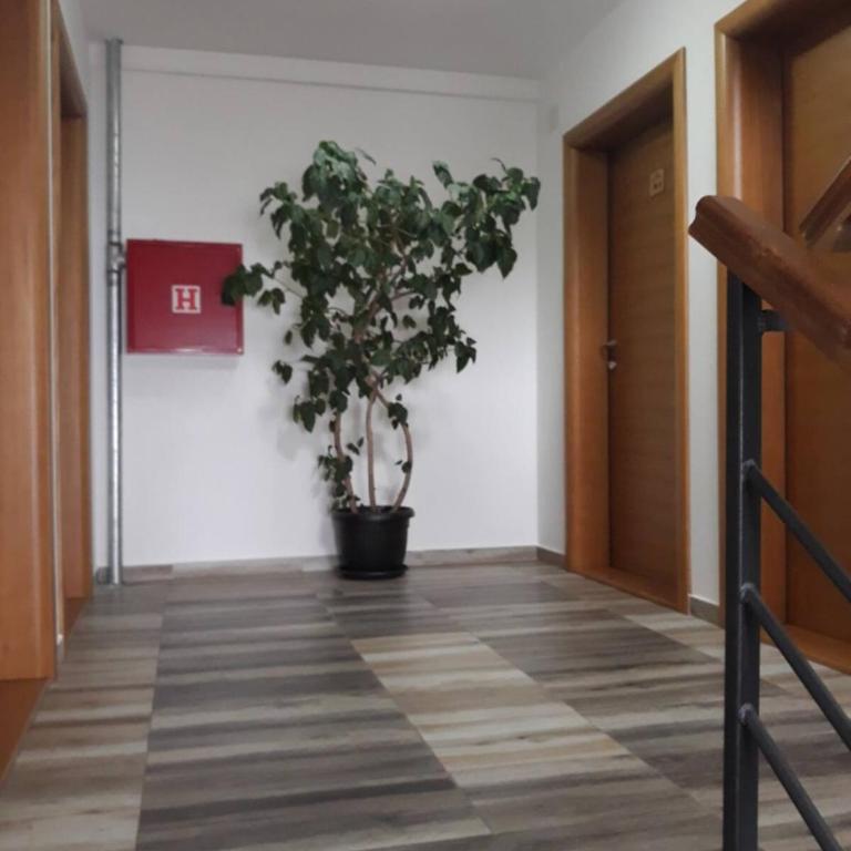 Dobricin Konak Kopaonik - Apartman sa 1 Spavaćom Sobom - 19