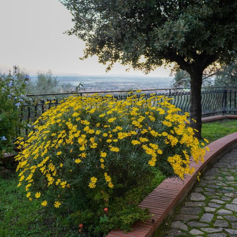 Casa Natalina - Casa con 3 Camere da Letto - 42