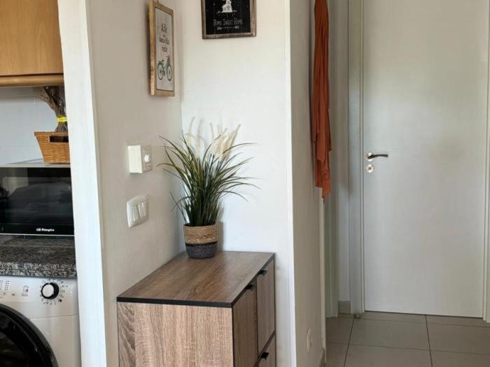Atlantic Garden 238 by Best Holidays Fuerteventura - Apartamento de 1 dormitorio - 75