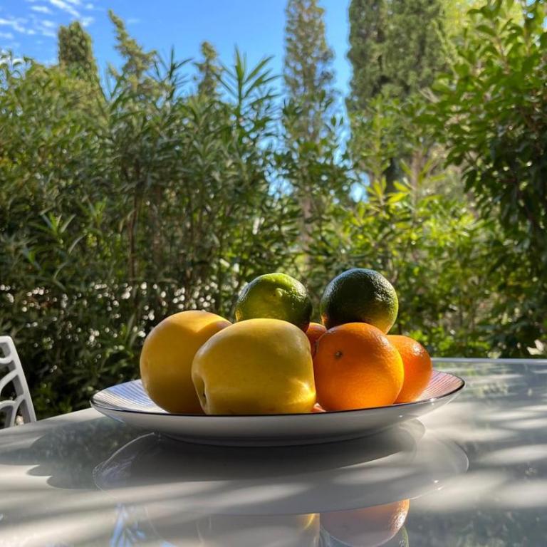 Les Calanques de Saint-Aygulf - Apartamento de 1 dormitorio con terraza - 9