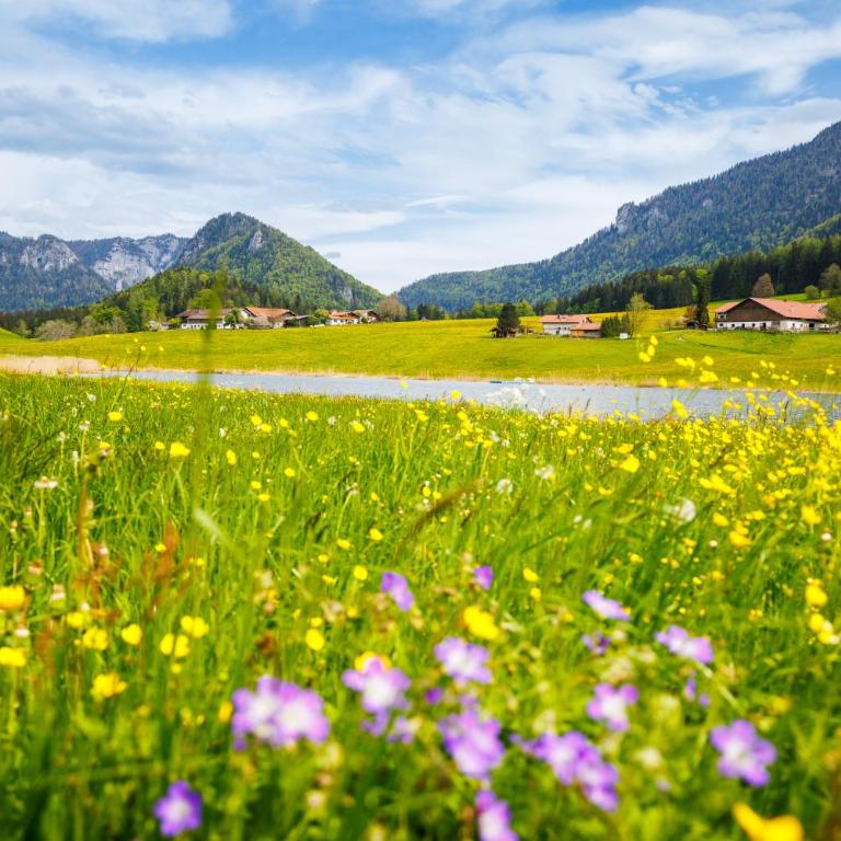 Ferienhaus Froschsee inkl. Chiemgaukarte - Haus mit 5 Schlafzimmern - 6
