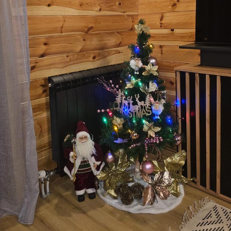 Snowflake - Kuća sa 2 Spavaće Sobe - 11