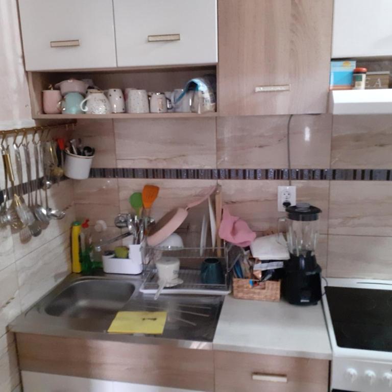 Sumski raj-Zvezdara - Apartman sa 1 Spavaćom Sobom - 5