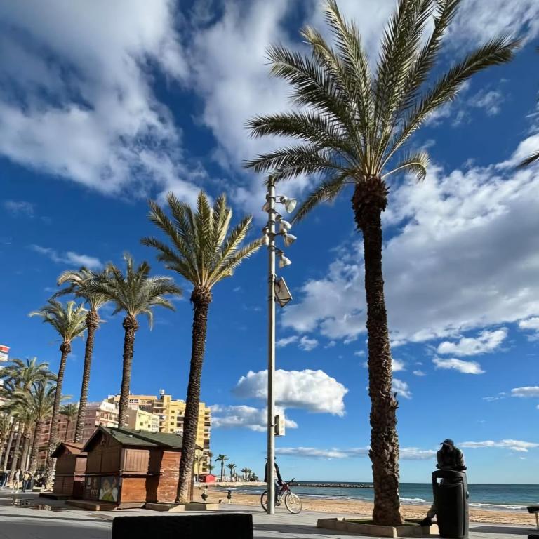 Susanna apartment on the Playa del Cura - Two-Bedroom Apartment - 31