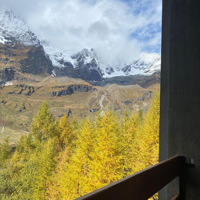 Grandes Mourailles Apartment ski in & ski out - Appartamento Monolocale - 16