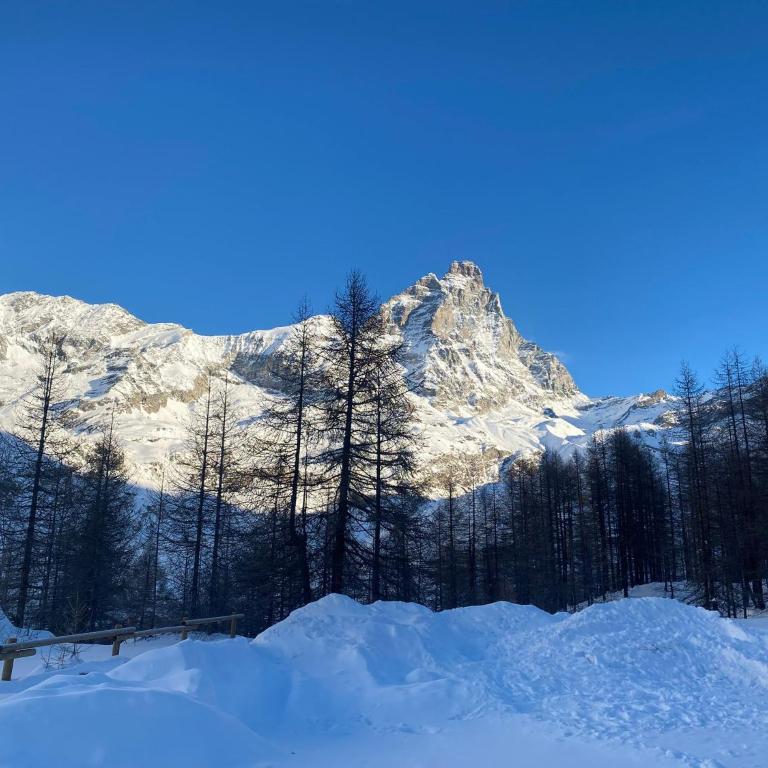 Grandes Mourailles Apartment ski in & ski out - Appartamento Monolocale - 58