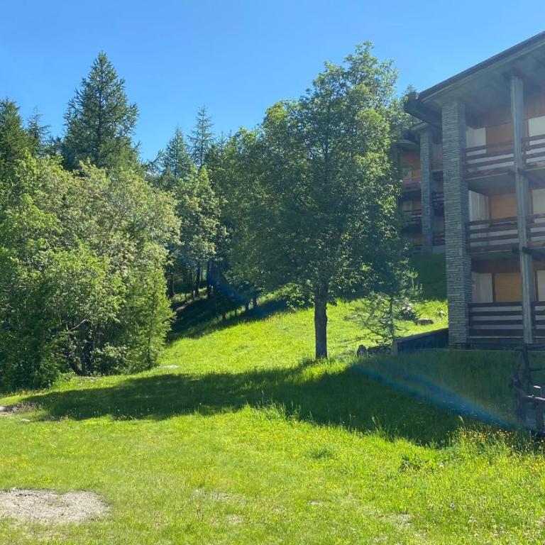Grandes Mourailles Apartment ski in & ski out - Appartamento Monolocale - 56