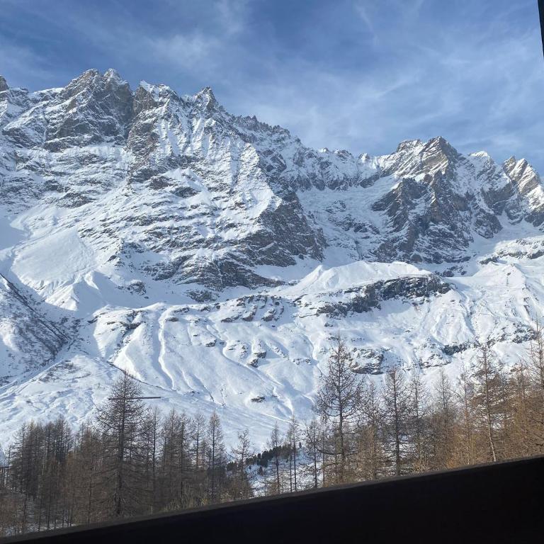 Grandes Mourailles Apartment ski in & ski out - Appartamento Monolocale - 51