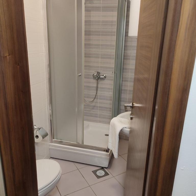 Apartmani vila Elena - Studio - 10