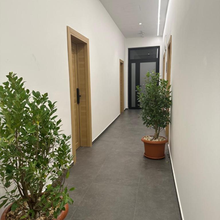 Avio Apartments - Apartman sa 1 Spavaćom Sobom - 5