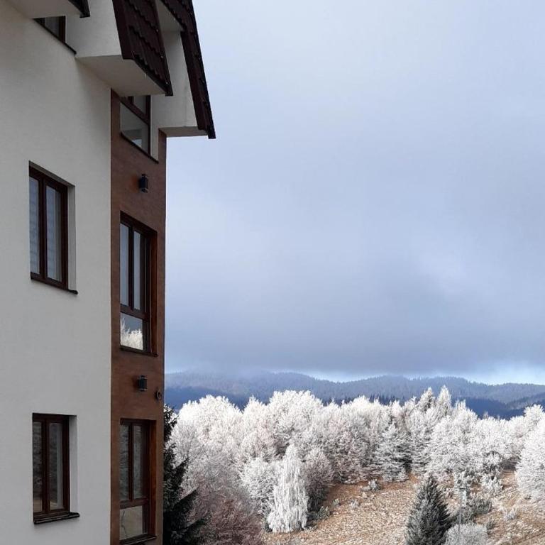 Kraljev Konak - One-Bedroom Apartment - 2