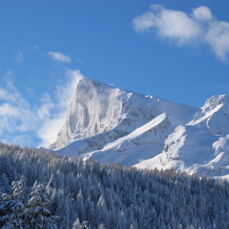 À 400m des pistes, confortable chalet pour 10 - Chalet - 38