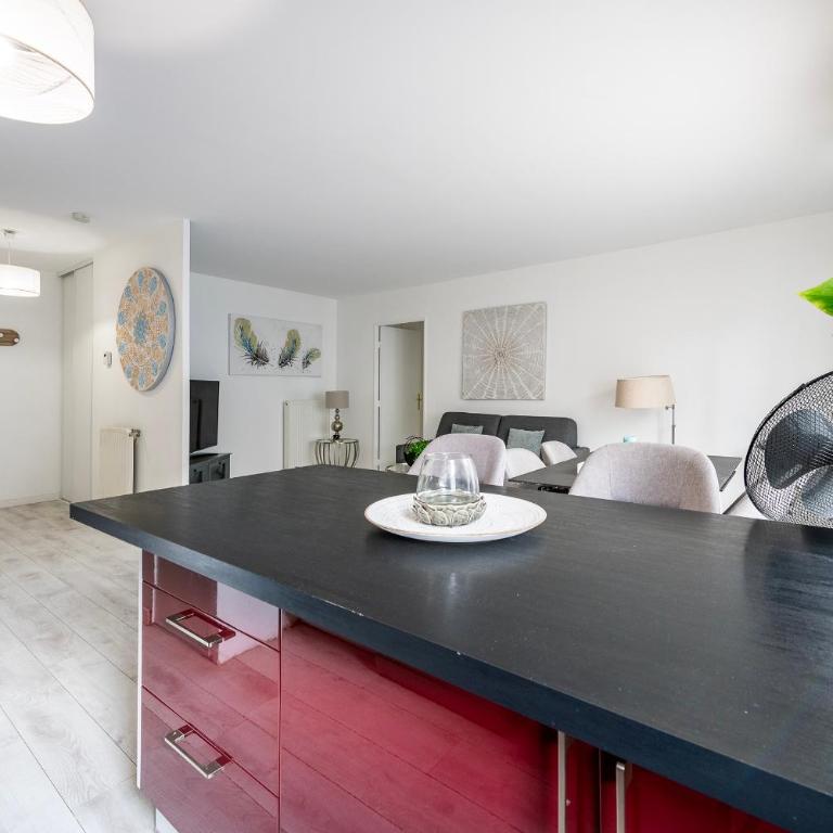 Le Danube Apartment F2 Disneyland, center ville - Appartamento con 1 Camera da Letto - 13