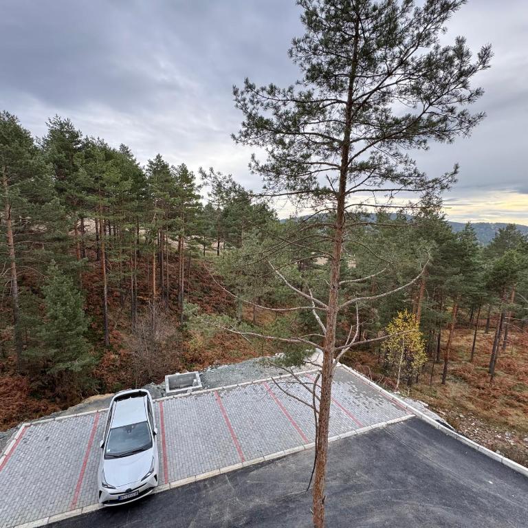 DivciRaj - Apartman sa 1 Spavaćom Sobom - 30