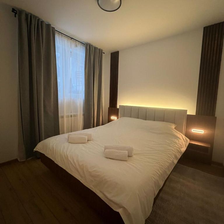 Prestige Kopaonik - Iznad Oblaka A1 - One-Bedroom Apartment - 8