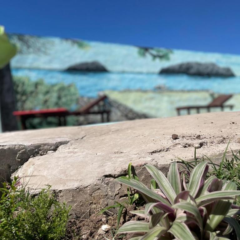 Chacra Don Herminio - One-Bedroom House - 19
