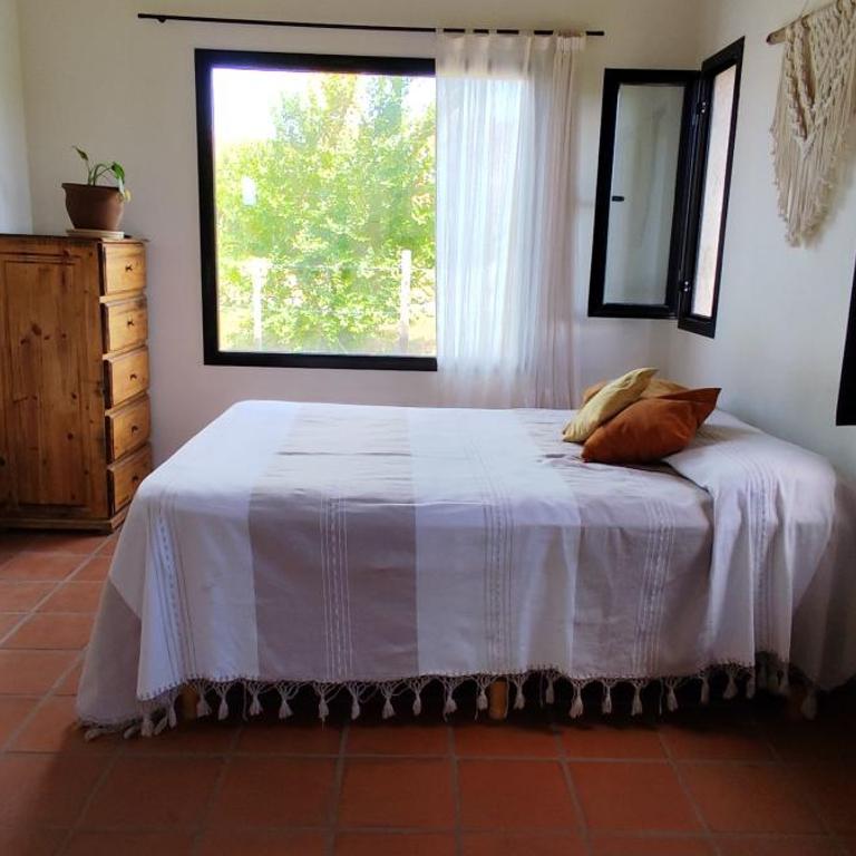 Alebrijescalamuchita - Estudio con cama extragrande y sofá cama - 9
