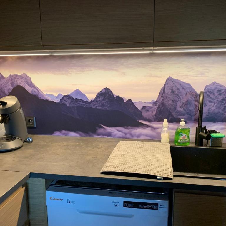 T1 La marmotte Saint Sorlin d'Arves - Appartement 1 Chambre - 14