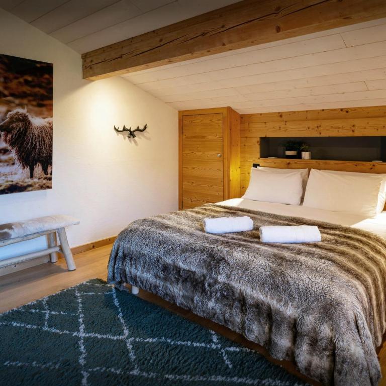 Chalet Paravis - OVO Network - Chalet - 12