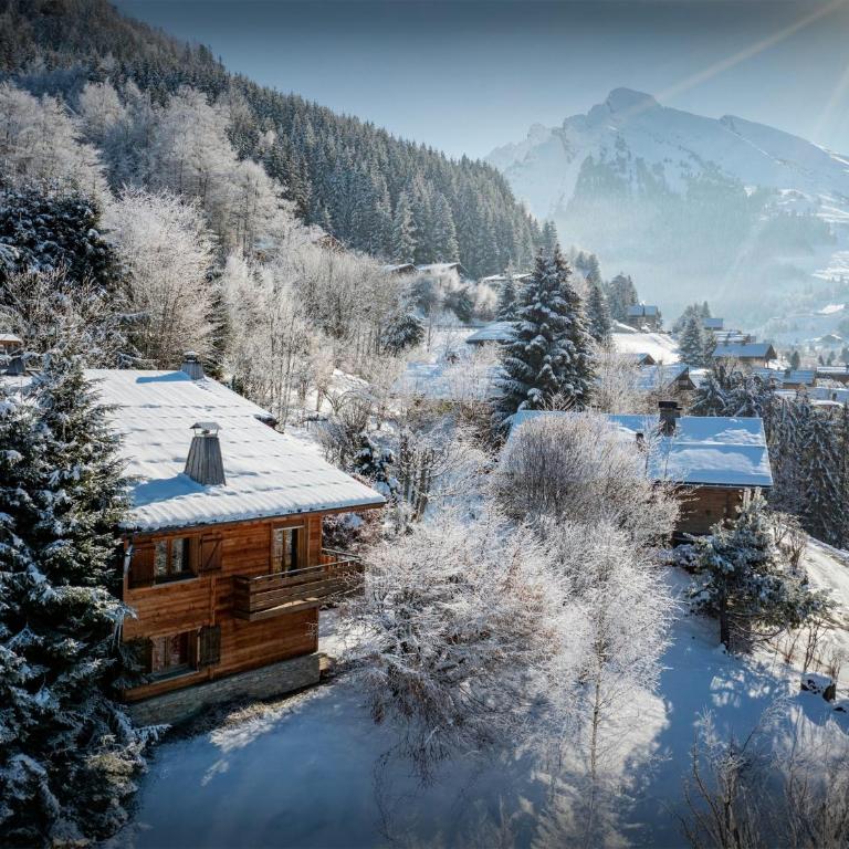 Chalet Paravis - OVO Network - Chalet - 19