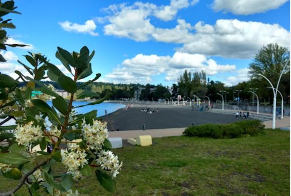 Departamento en Villarrica con vista al Volcán y al Lago a pasos del Centro y Costanera - Apartamento de 2 dormitorios con vistas al lago - 17