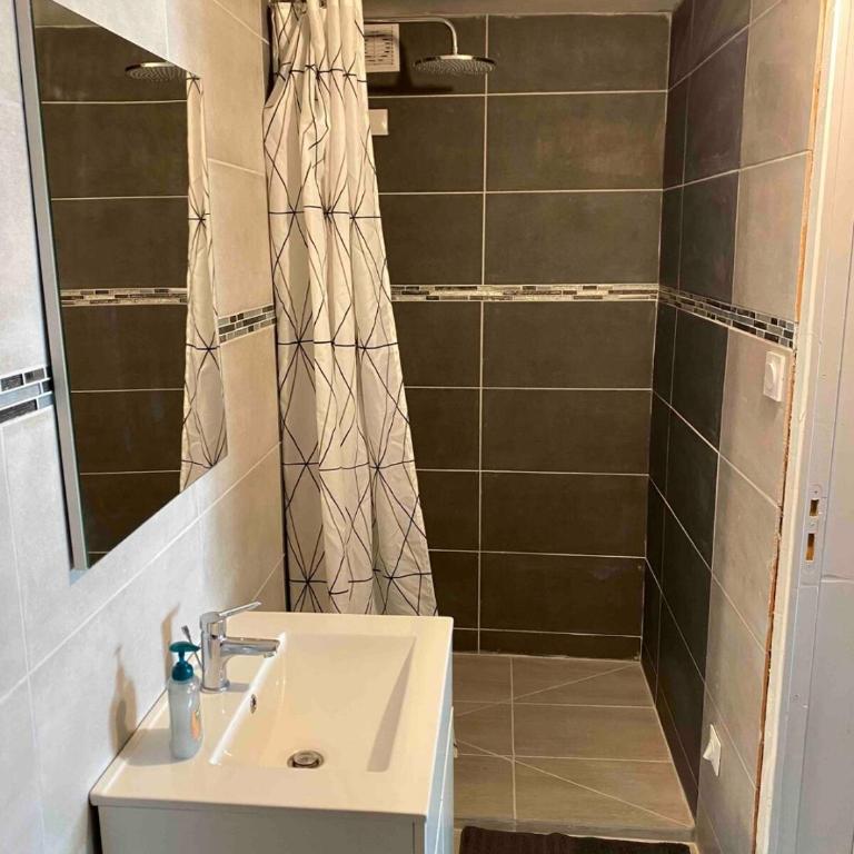 Studio centre ville Vichy - Apartamento de 1 dormitorio - 3