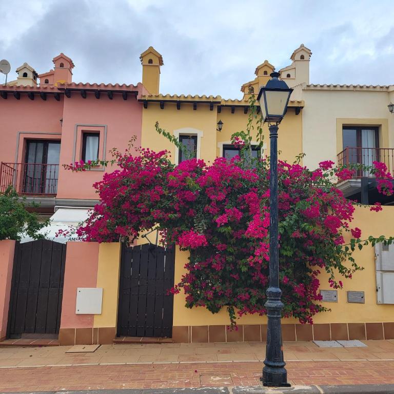 Casa Rosa - One-Bedroom Apartment - 29