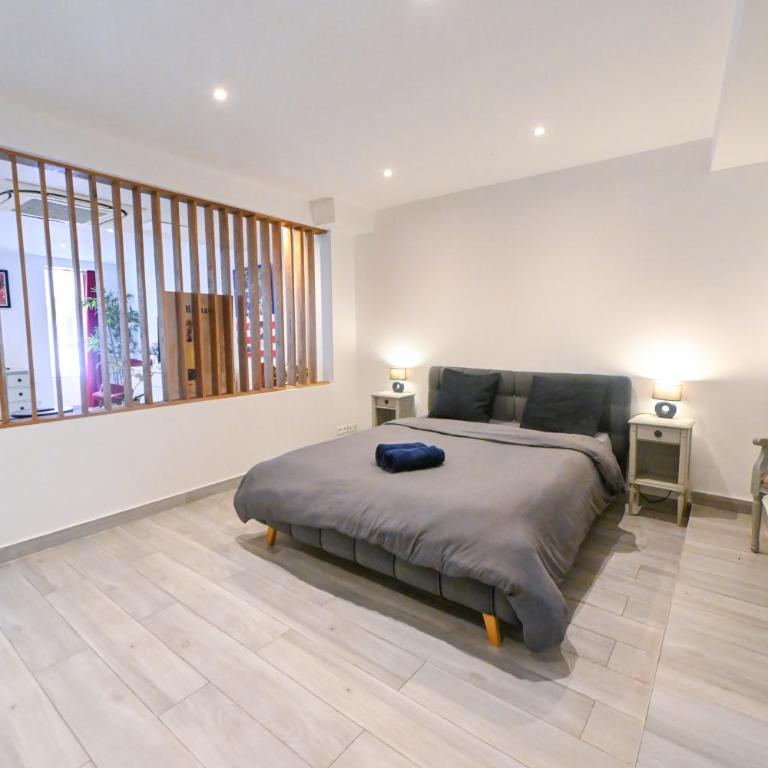 Loft place Masséna avec terrasse - Appartement 1 Chambre - 18