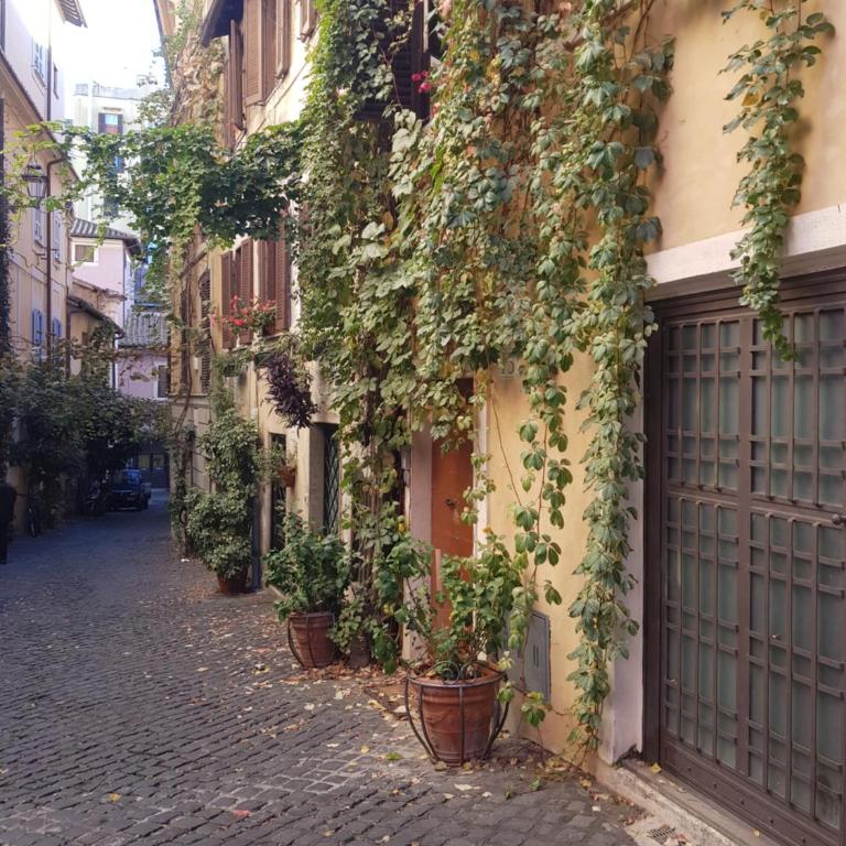 Guest House Garofano - Appartamento con 1 Camera da Letto - 1
