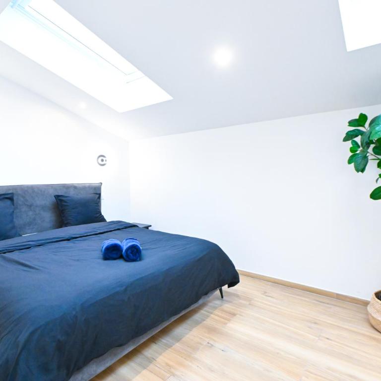 Beau deux pièces cozy avec terrasse n11 - Appartement 1 Chambre - 11