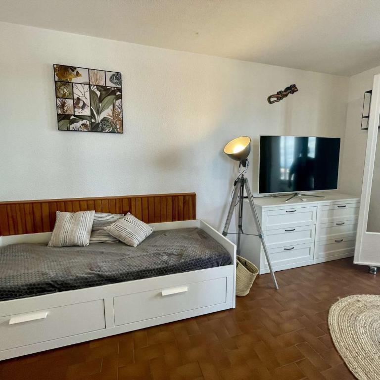 Appartement 2 pièces - 5 couchages ST CYPRIEN PLAGE SC005-025 - Appartamento con 1 Camera da Letto e Vista Mare - 3