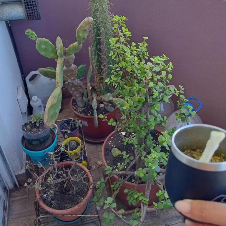 Dpto en La Perla - Apartamento de 1 dormitorio - 37