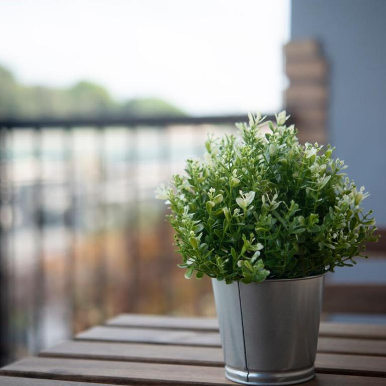 Appartamento tra Piramide e Garbatella - Urbe Romana - One-Bedroom Apartment - 25