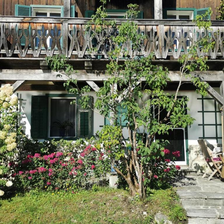 Franz Rudolf - Appartement - Rez-de-Chaussée - 9